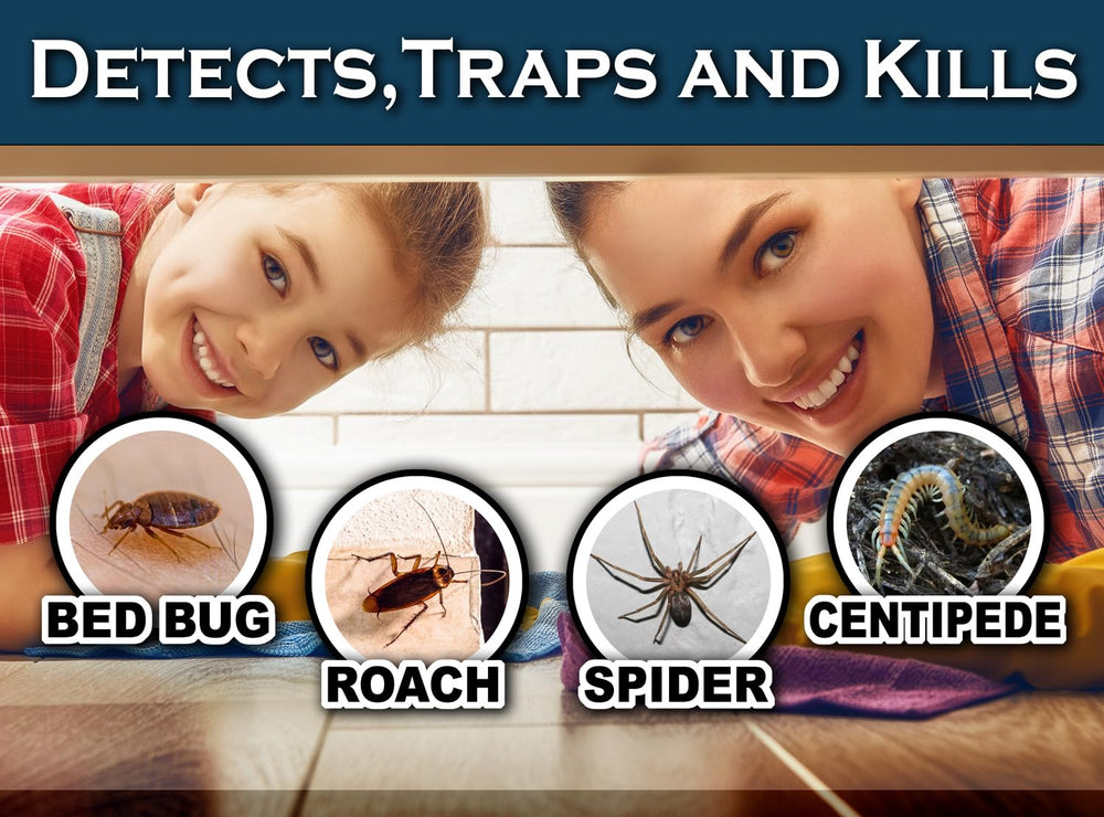 MaxGuard 24-trap box highlights comprehensive pest monitoring kit.