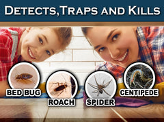 MaxGuard 24-trap box highlights comprehensive pest monitoring kit.