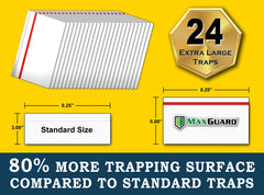 MaxGuard adhesive insect catcher on a window catching gnats and fruit flies