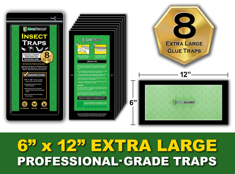 MaxGuard Extra Large Traps in use in a kitchen, offering safe, non-toxic protection for homes.