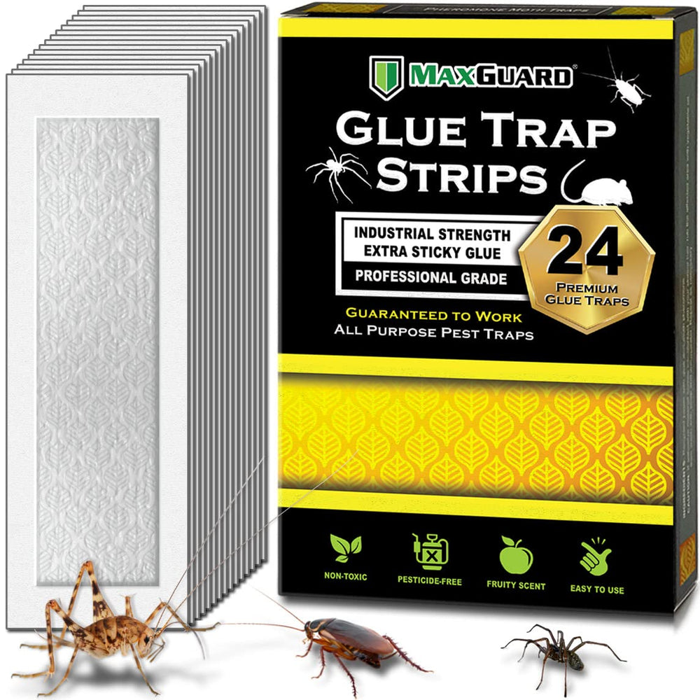 MaxGuard glue trap strips with 24 traps for comprehensive home coverage
