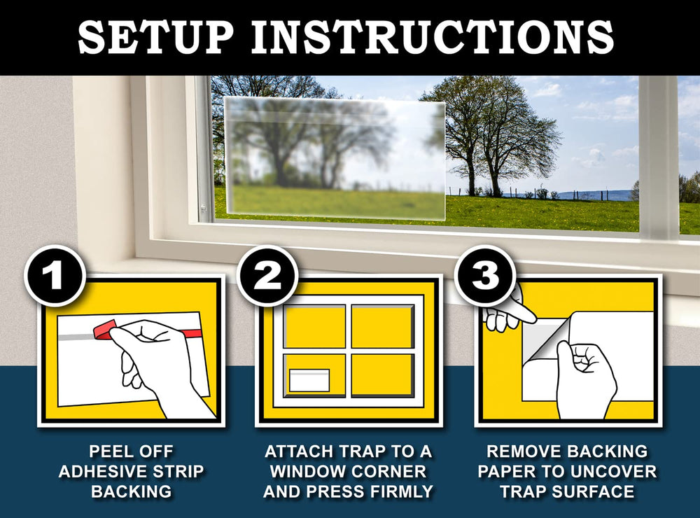 Non-toxic MaxGuard window traps providing safe, odorless pest control