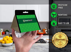 MaxGuard pantry moth traps in pantry protecting grains, flour and nuts