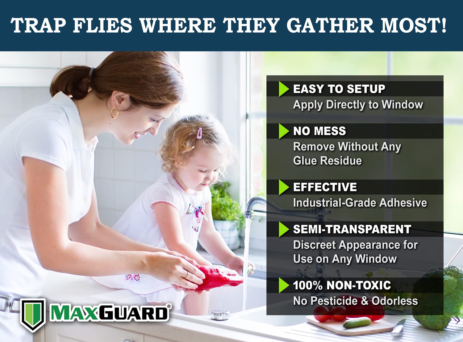Semi-transparent MaxGuard fly trap on a window capture area without smell