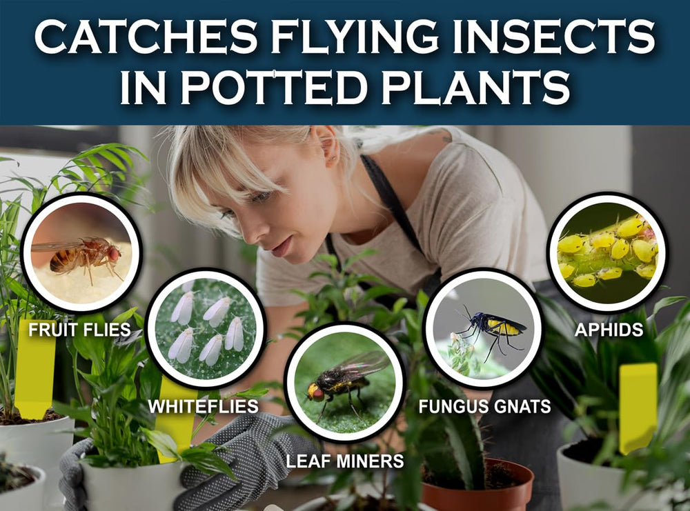 Maxguard stake trap hanging with twist tie for easy in-plant pest protection.
