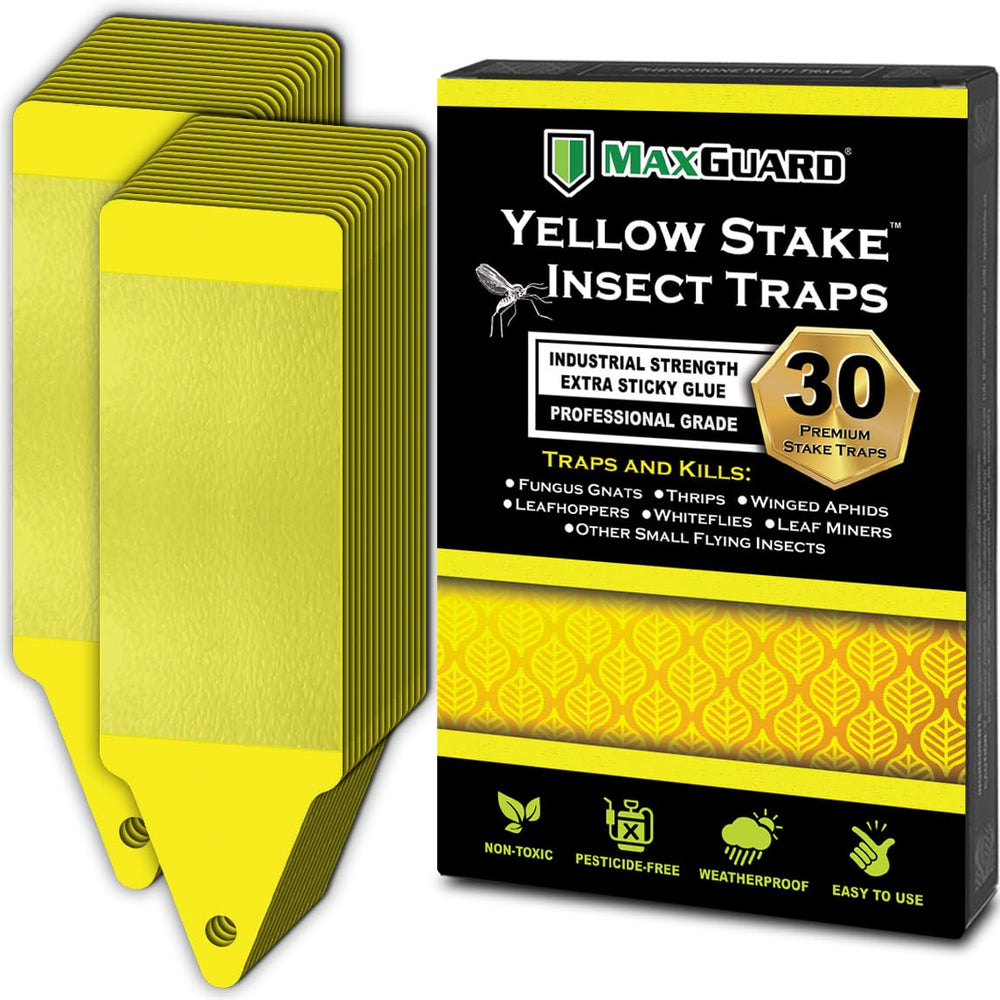 Maxguard yellow stake sticky trap placed in a garden to capture flying insects.
