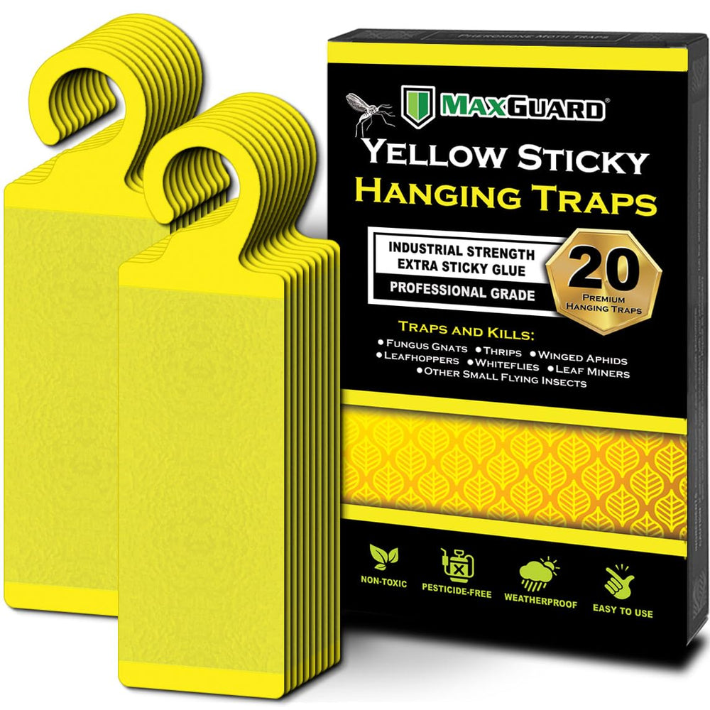 MaxGuard yellow hanging trap catching gnats near potted plants for natural pest control.