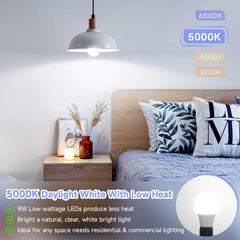 Maylaywood A19 LED bulb with 220-degree beam for wide room coverage.