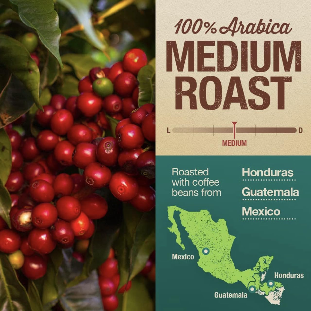 Mayorga direct trade farm connection emphasizing sustainable sourcing