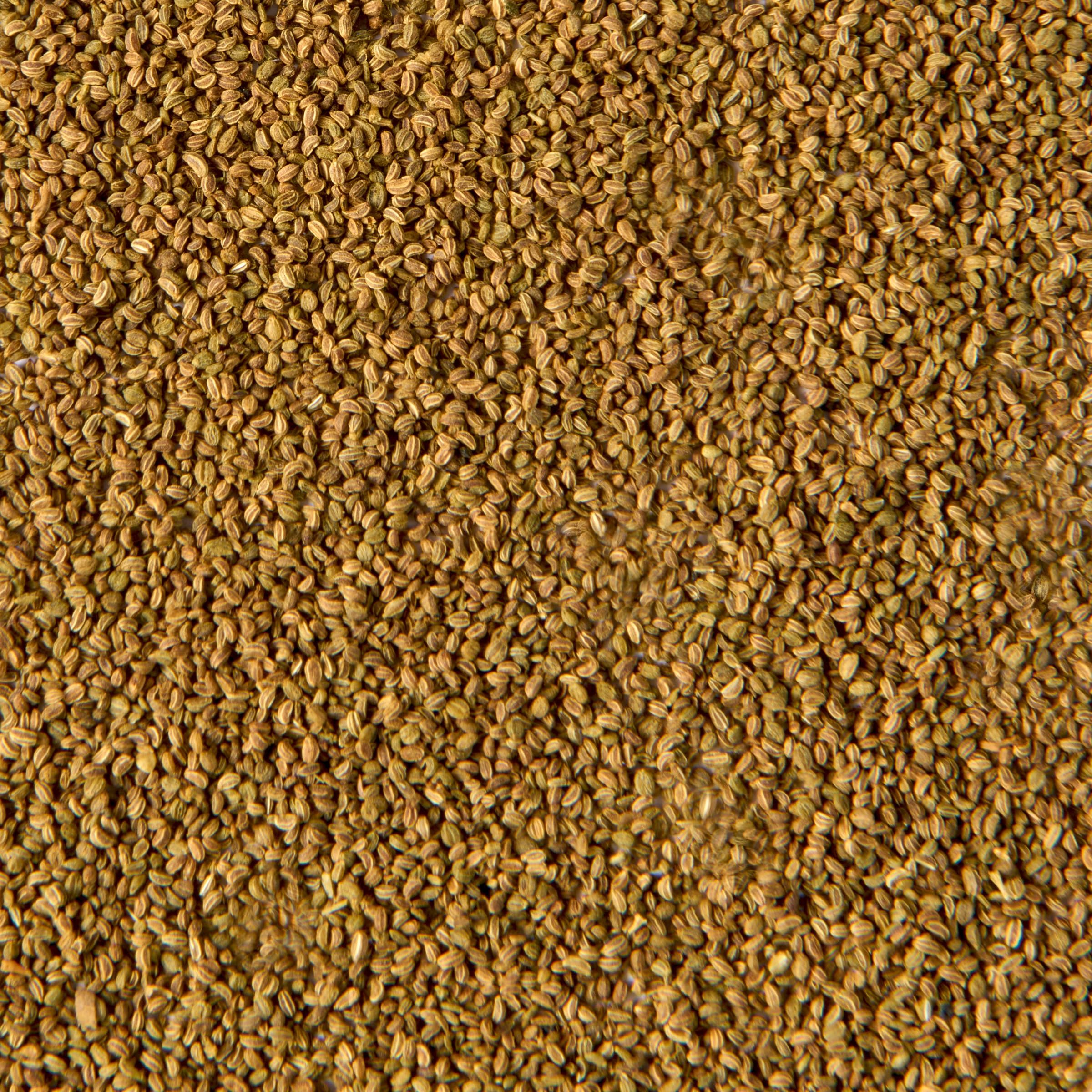 Macaroni salad depth from McCormick Gourmet Celery Seed