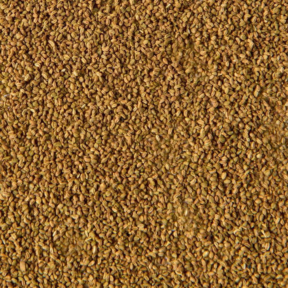 Macaroni salad depth from McCormick Gourmet Celery Seed