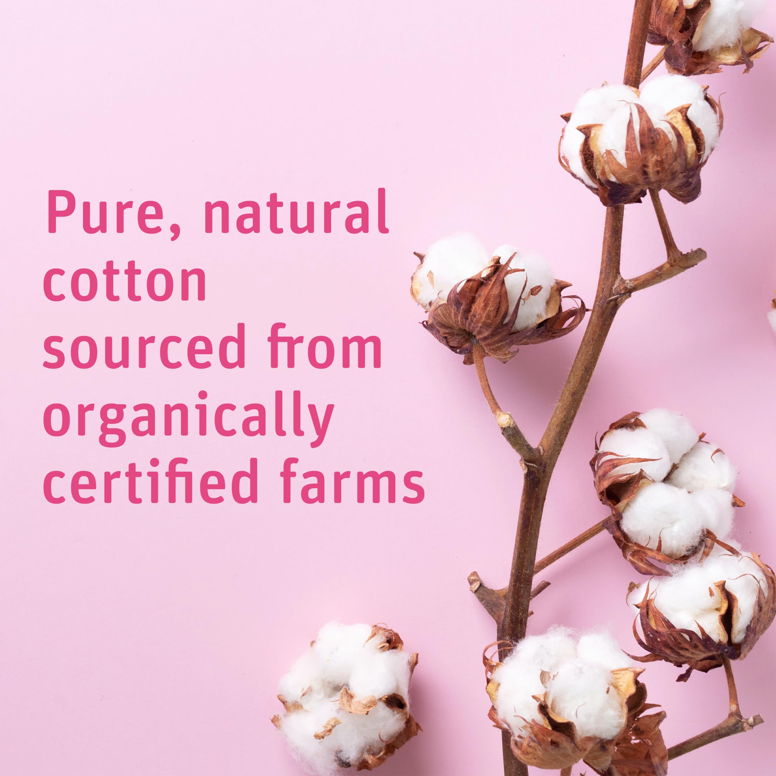 Medline Simply Soft cotton balls 600-count packaging ready for daily routines.
