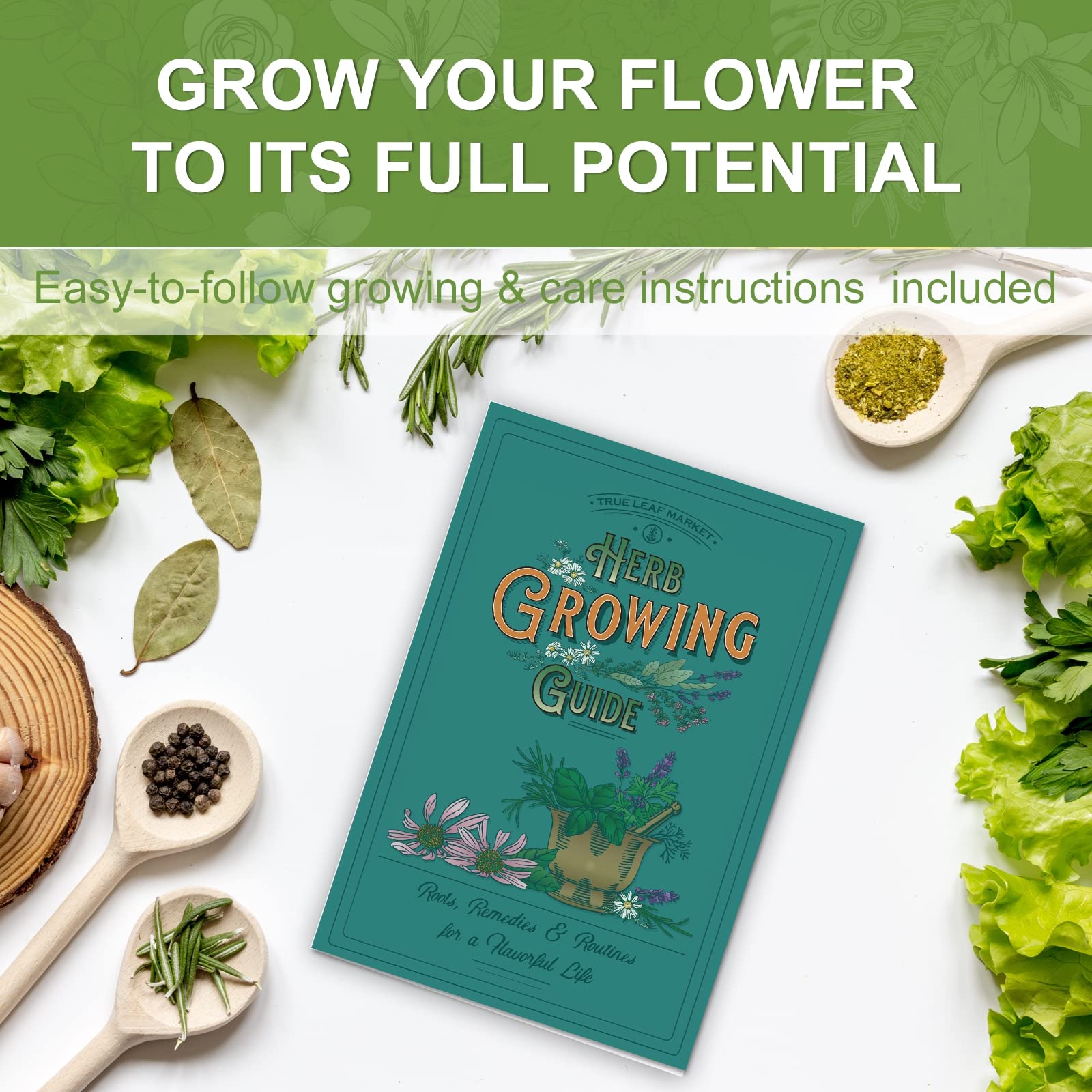 Meekear seed soaking and planting guide supports smoother germination.