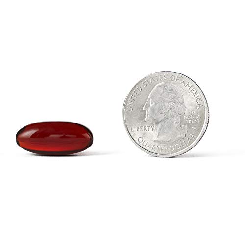 MegaRed easy-swallow softgel pictured in hand for daily use.