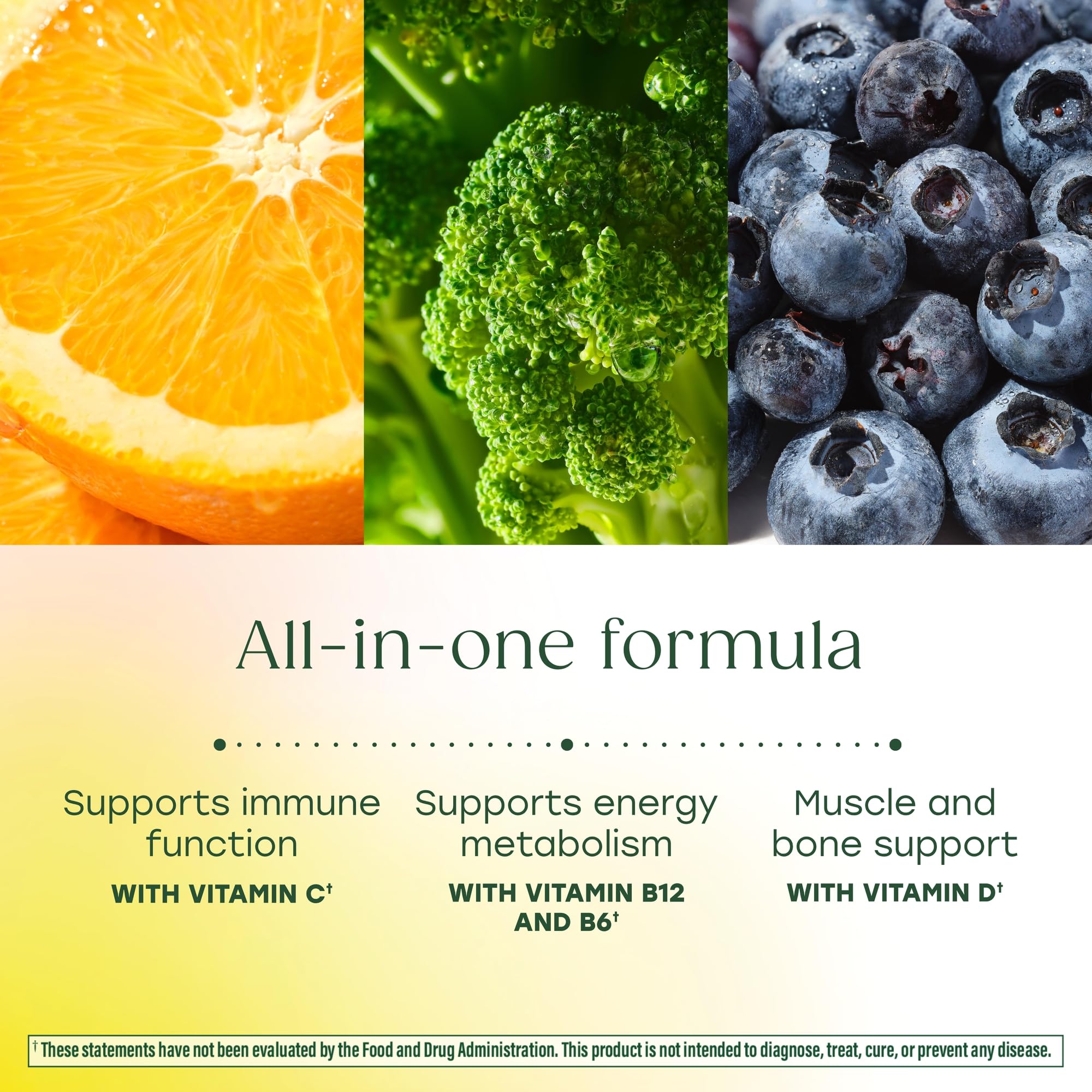megafood one daily men's multivitamin real-food blend ingredients including blueberry and broccoli