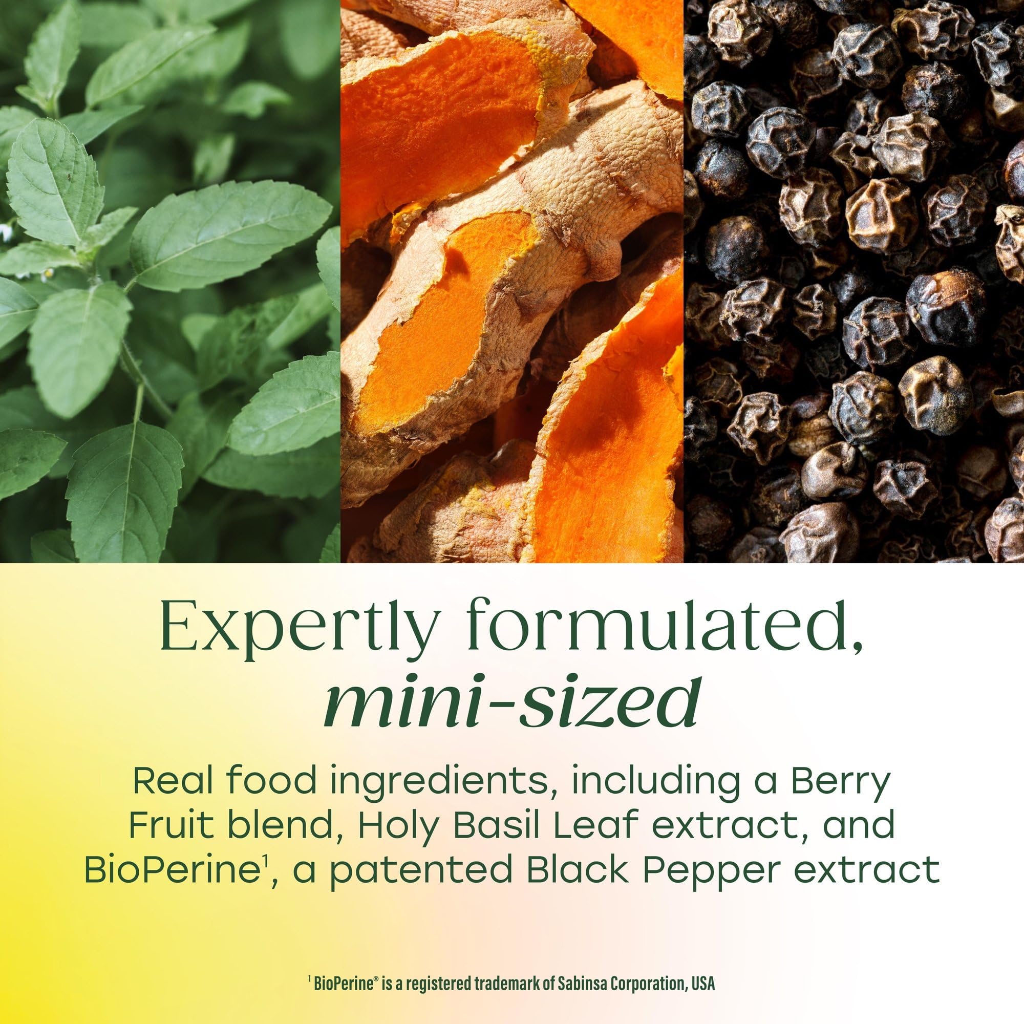 MegaFood real-food per serving visuals show tart cherry, cranberry, and blueberry.