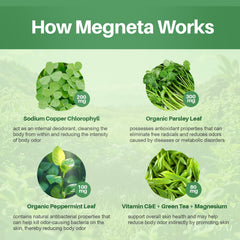 MEGNETA parsley leaf ingredient closeup highlighting plant-based balance