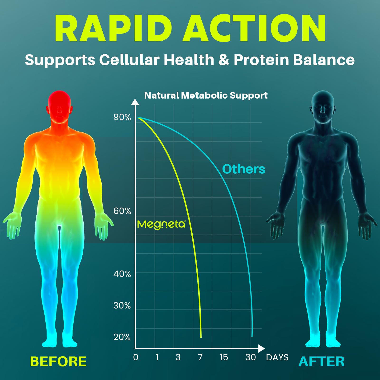 MEGNETA Spike Support ingredients close-up highlighting nattokinase, bromelain, curcumin blend