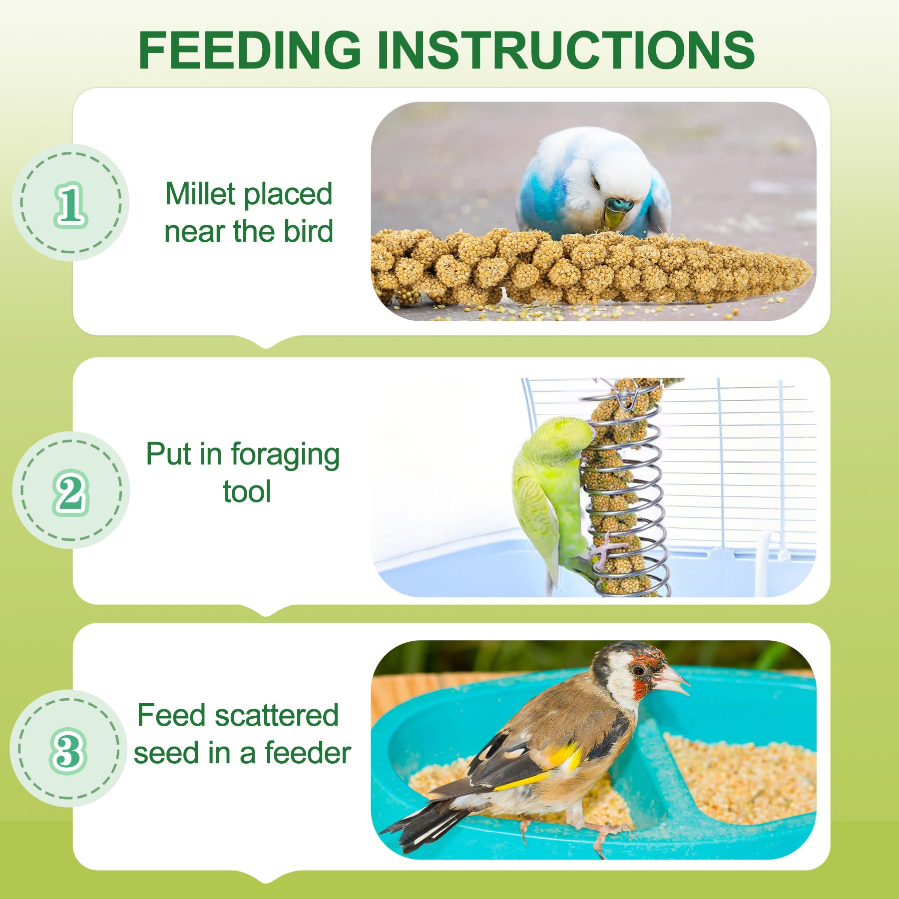 MEILLEURE millet snack enjoyed by cockatiels, parrots, and small pets