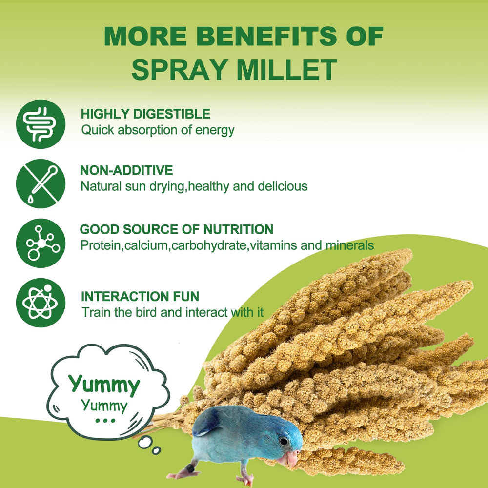 MEILLEURE shell millet supports beak grinding and digestion
