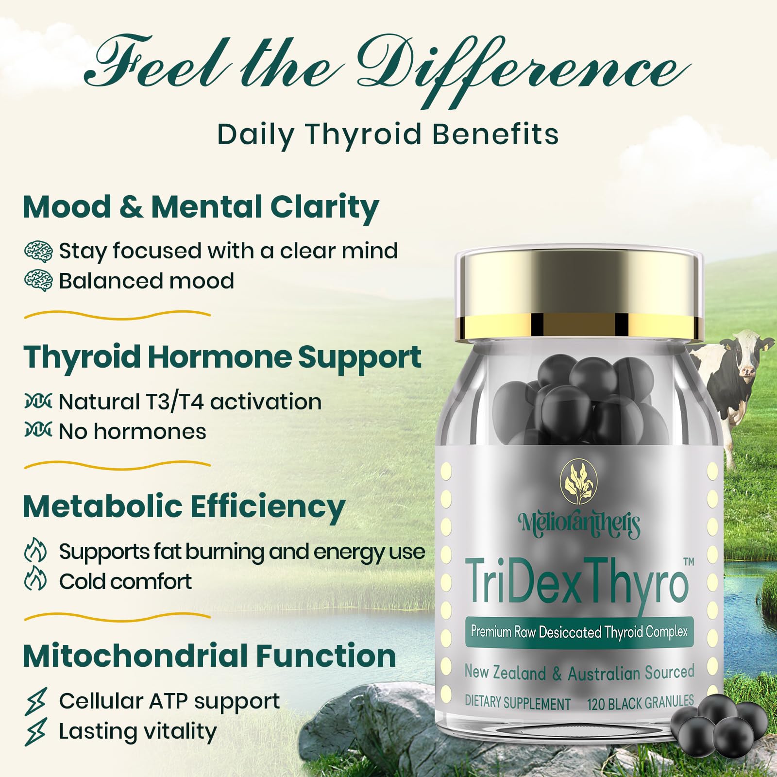 Meliorantheris TriDexThyro bead technology highlights uniform 3mm granules.