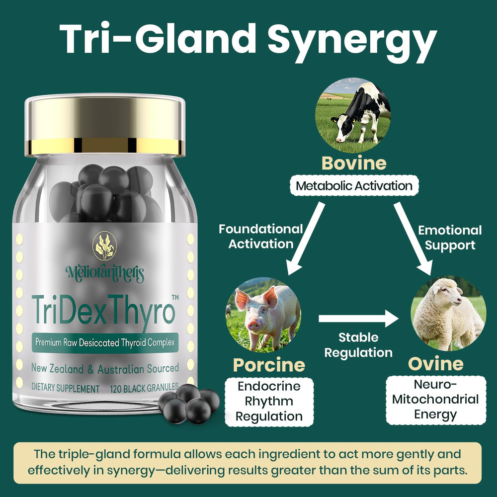 Measuring spoon beside TriDexThyro jar for precise daily dosing.