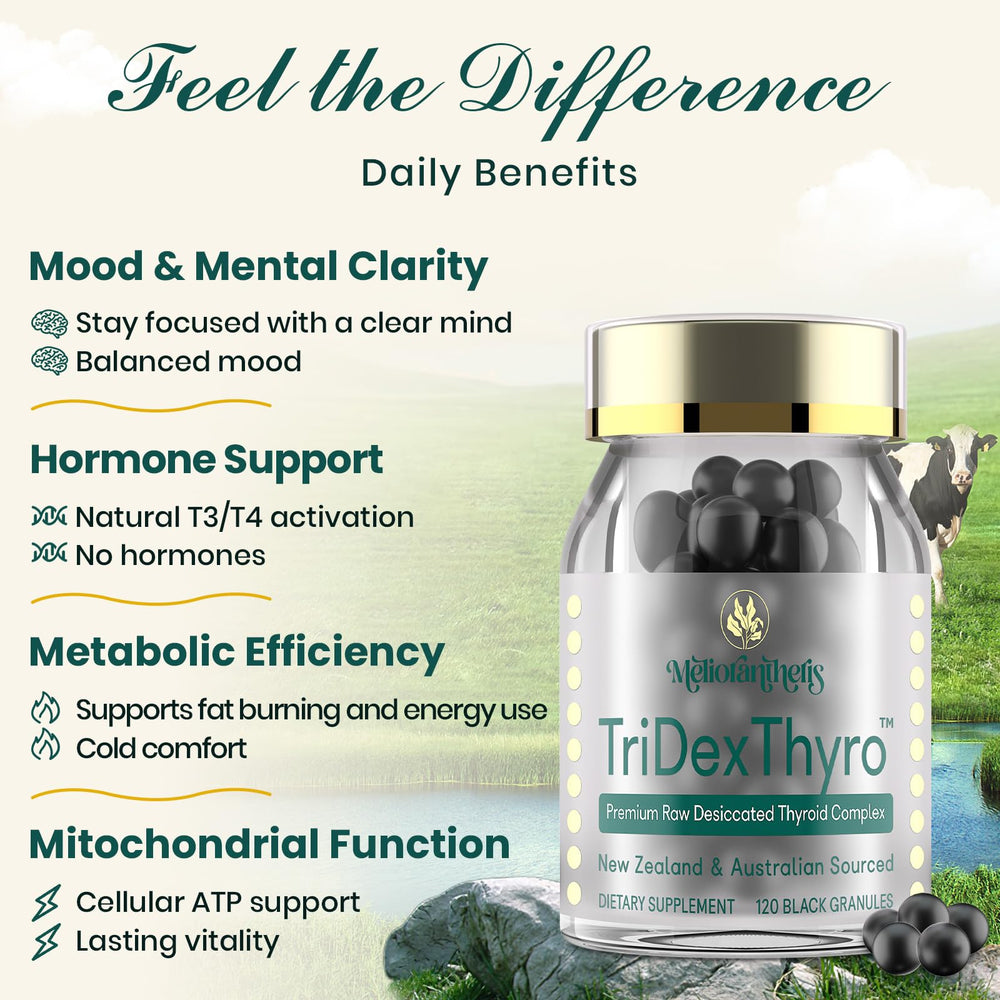 Meliorantheris TriDexThyro packaging front with clean label.