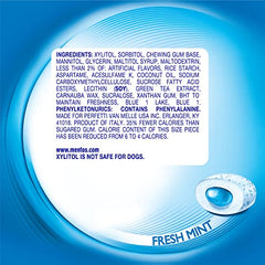 Mentos Pure Fresh Gum 80 pieces visible inside the bottle