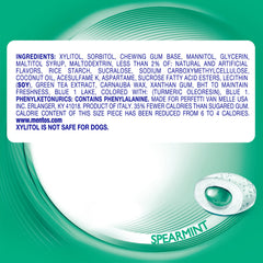 MENTOS Pure Fresh Sugar-Free Gum Spearmint desk-use image highlights long-lasting flavor during work.