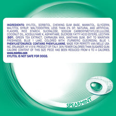Mentos Pure Fresh gum pieces offer a cool spearmint bite with every chew.