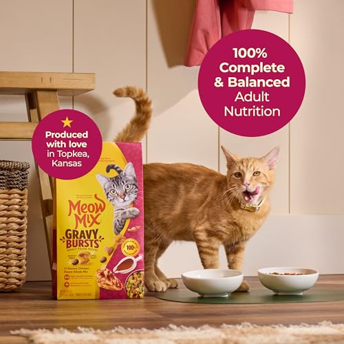 Meow Mix Gravy Bursts 3lb bag for convenient feeding