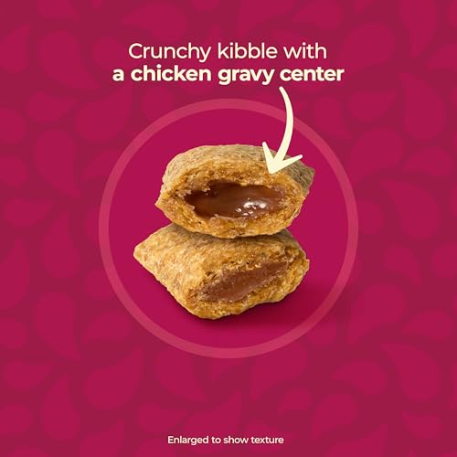 Meow Mix Gravy Bursts crunchy kibble texture close-up