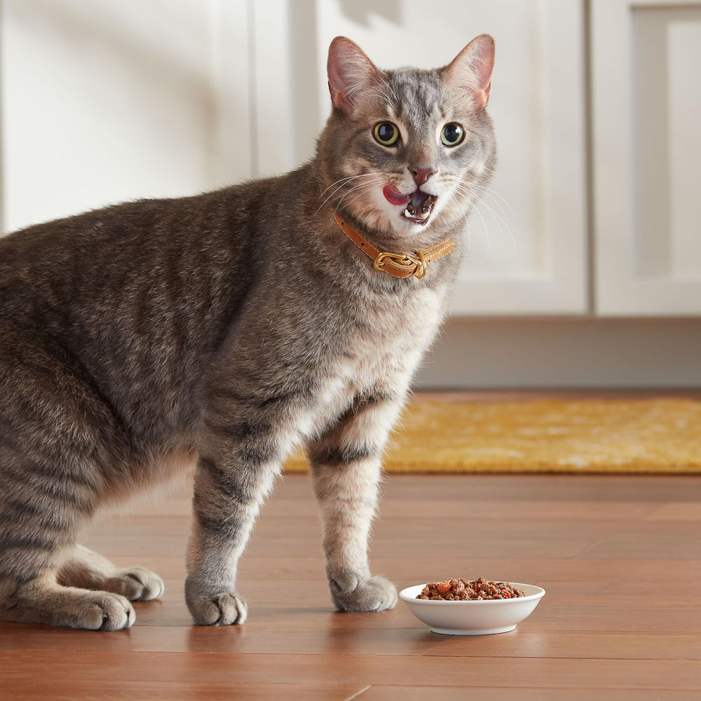 Meow Mix ingredients highlight tuna and shrimp in sauce