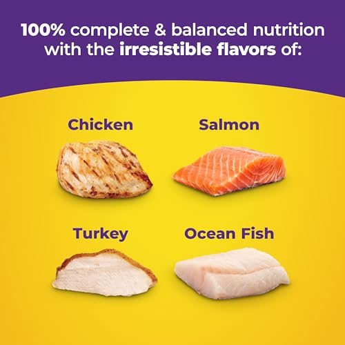 Meow Mix Original Choice kibble closeup showcases high-quality protein for lean muscles.