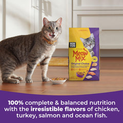 Meow Mix Original Choice kibble closeup suggests crunchy texture cats enjoy.