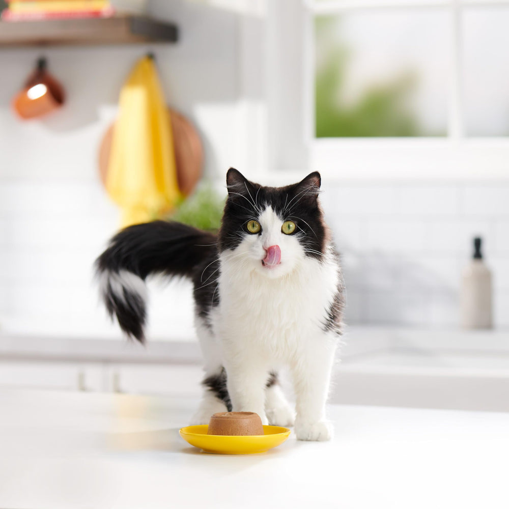 Meow Mix Peel-off Lid Cups enable quick, mess-free serving