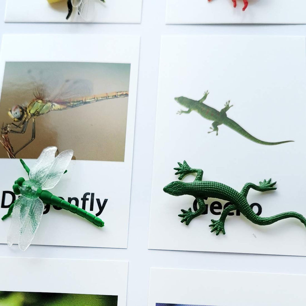 Mereco ergonomic card design supports tiny hands during play.