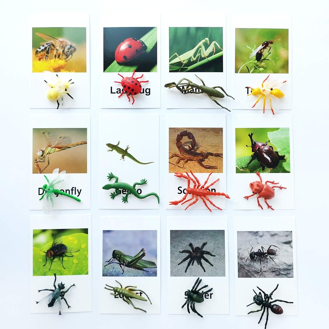 Mereco insect and animal figurines for hands-on learning.
