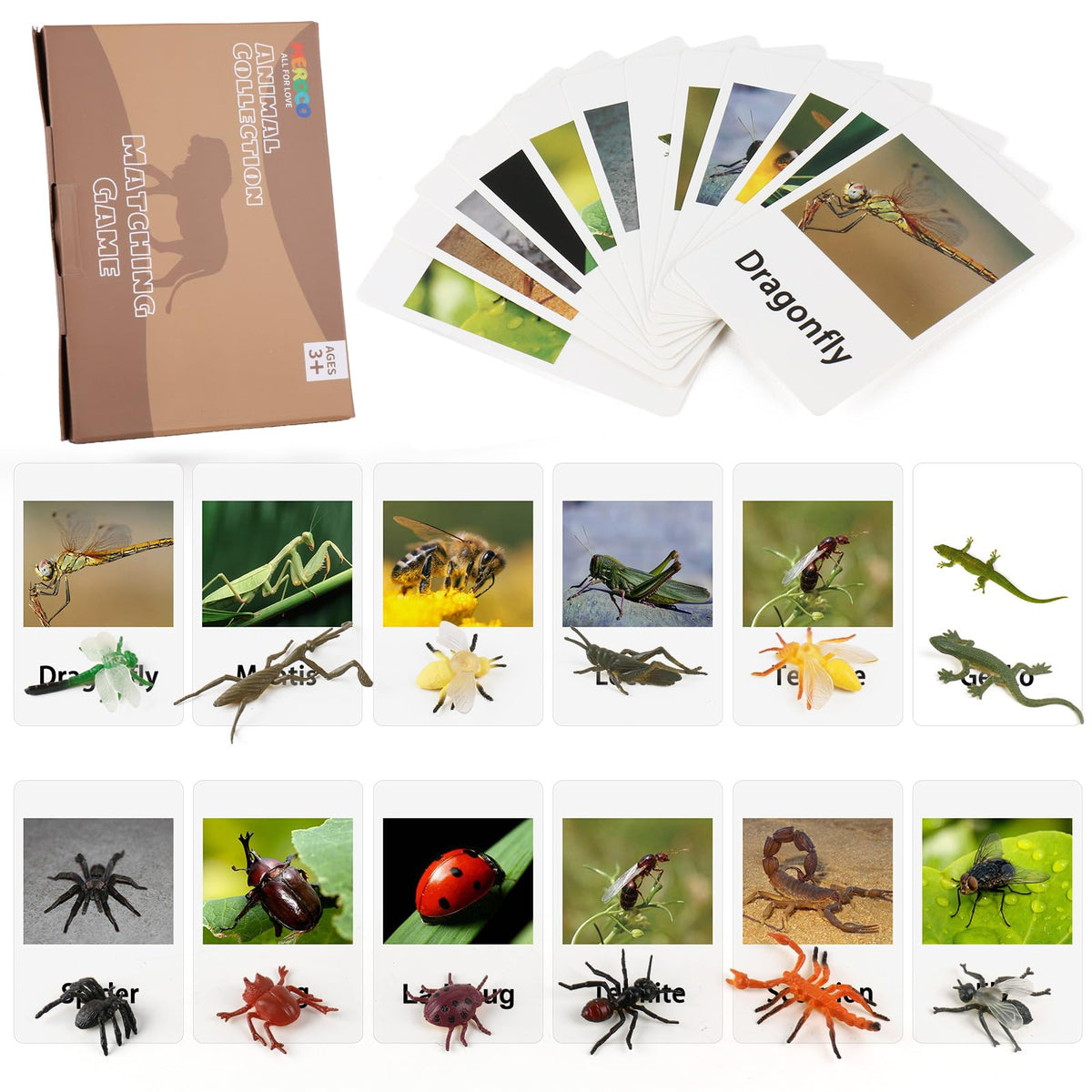 Mereco Montessori Animal Match cards for early vocabulary practice.
