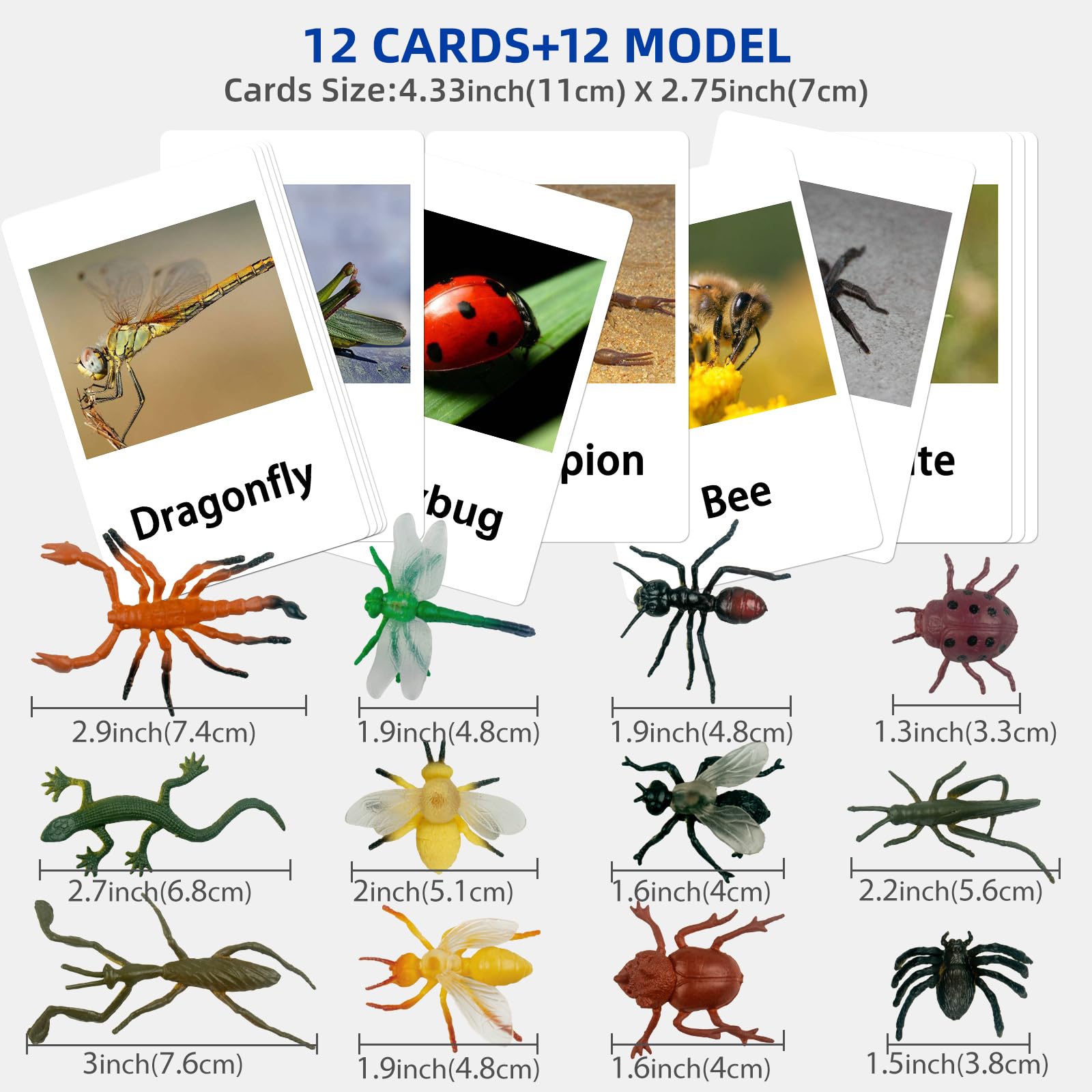 Mereco sturdy cards and figures promote focused learning sessions.