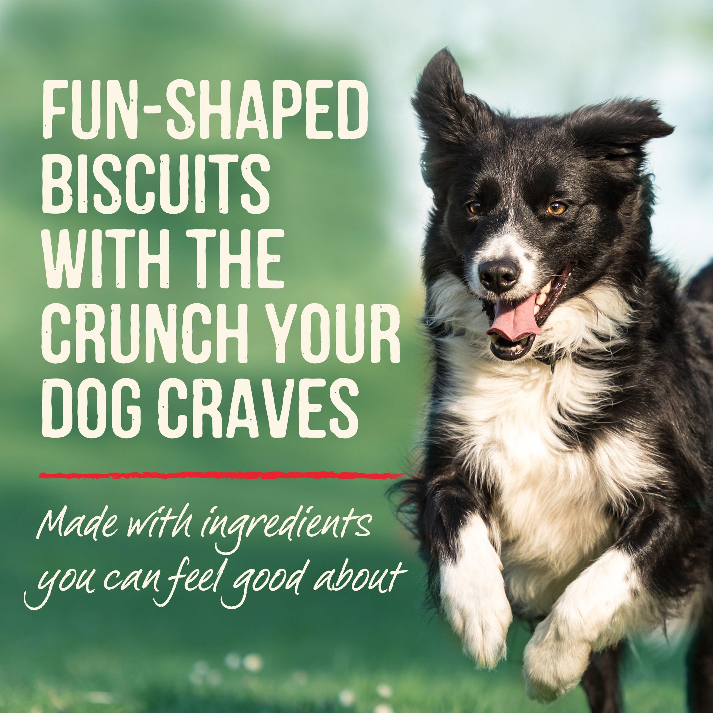 Merrick Pawsome Pnut Butter Cookie USA-made in Hereford, Texas facilities.