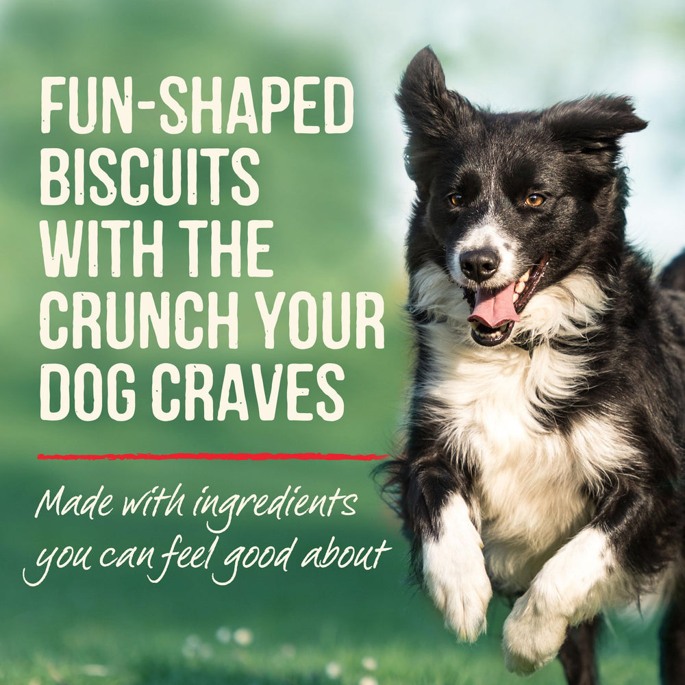 Merrick Pawsome Pnut Butter Cookie USA-made in Hereford, Texas facilities.