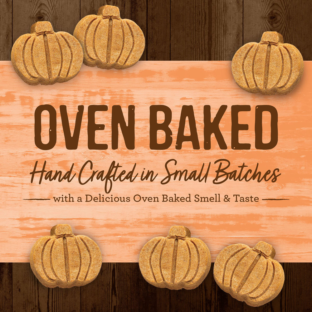 Merrick pumpkin patch treats highlighting real pumpkin for wholesome snacking