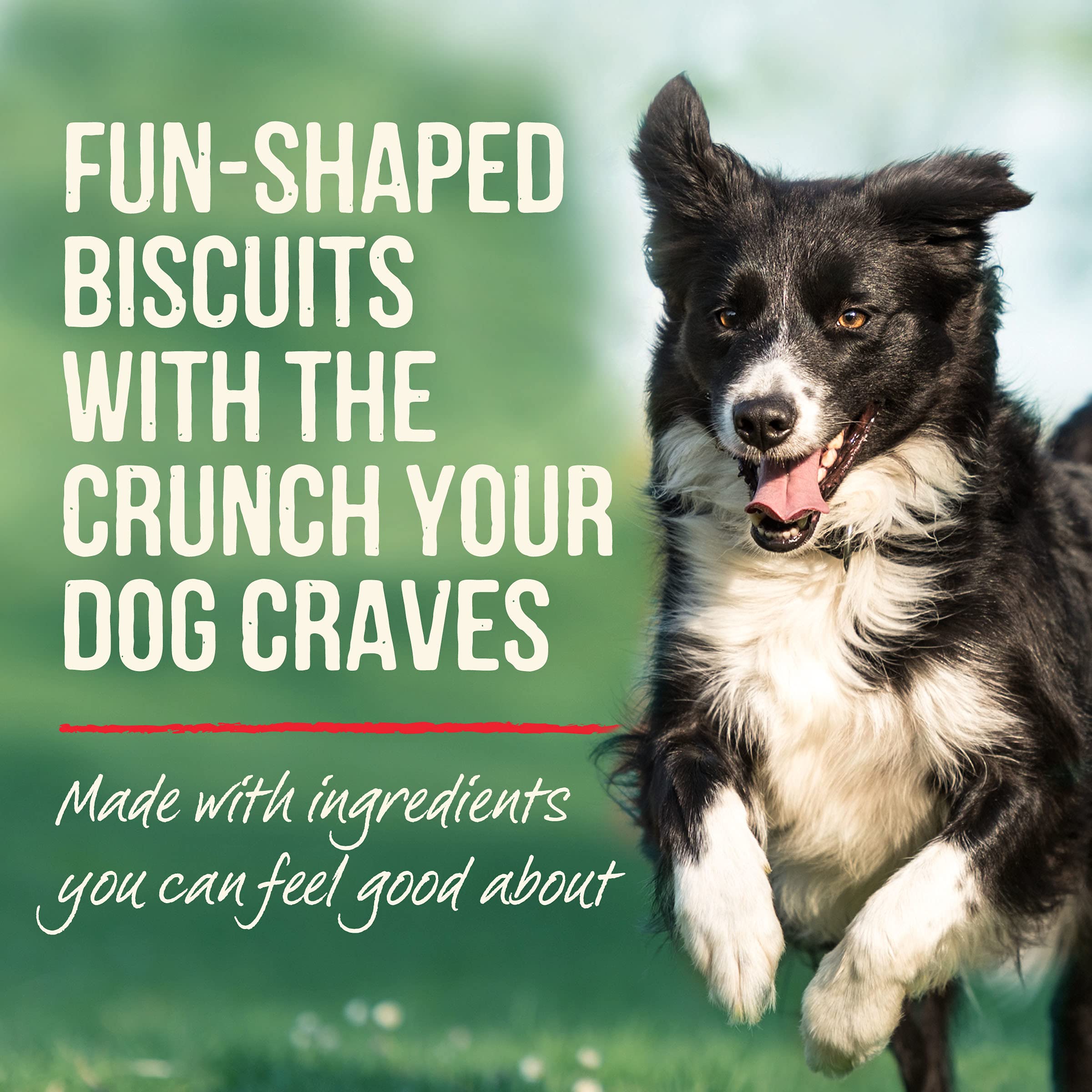 Merrick wheat-free dog treats without corn soy or wheat for sensitive dogs