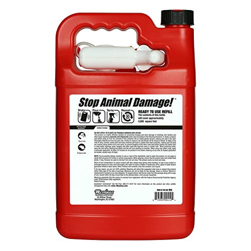 Messinas Squirrel Stopper spray being applied to a bird feeder.