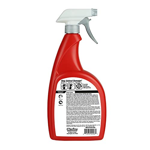 Messinas Squirrel Stopper spray shields attics from chewing and nesting.