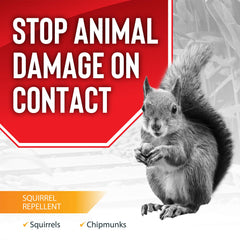 Messinas Squirrel Stopper spray deters chewing on patio furniture outdoors.