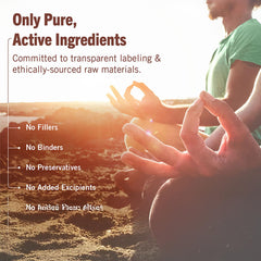 Metabolic Maintenance DIM Complex showcases methylated B vitamins for hormone balance