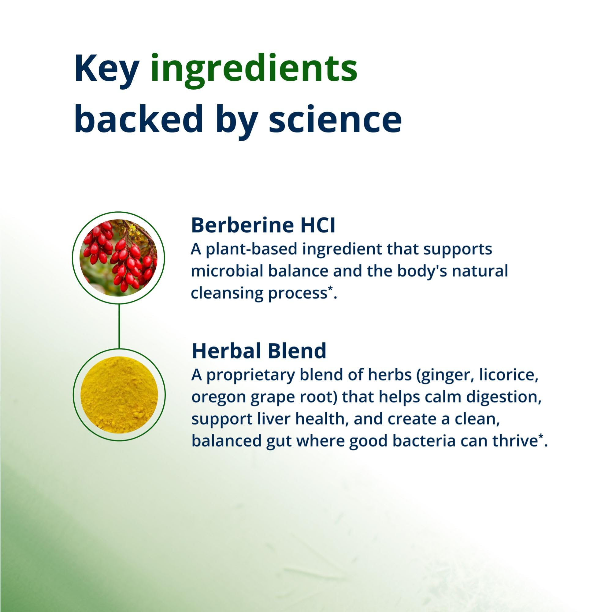 Gluten-free vegetarian formula supports clean supplement choices for sensitive lifestyles.