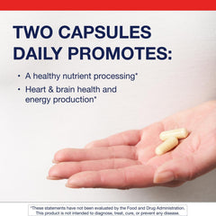 Metagenics MethylCare label closeup highlighting the non-GMO and gluten-free notes